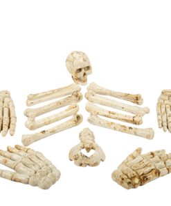 ASSORTIMENT D’OS HUMAIN RÉSINE BLANC VIEILLI DE 5,5 A 11 CM